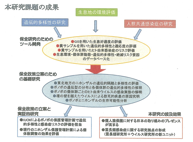 成果イメージ図