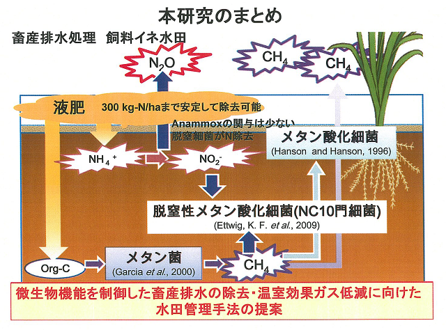 成果イメージ図