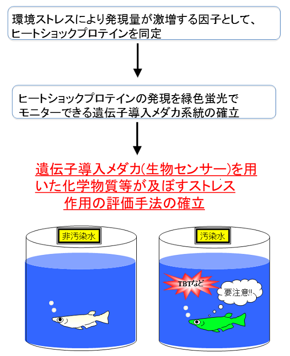 成果イメージ図