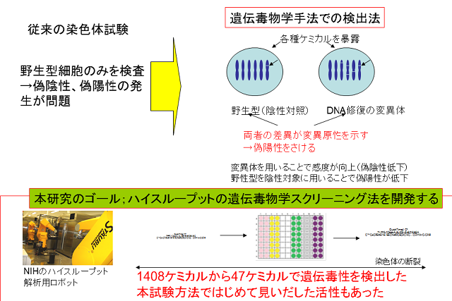 成果イメージ図