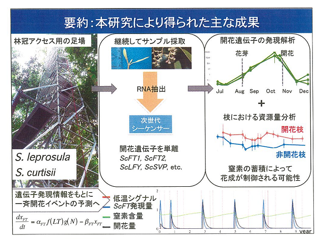 成果イメージ図