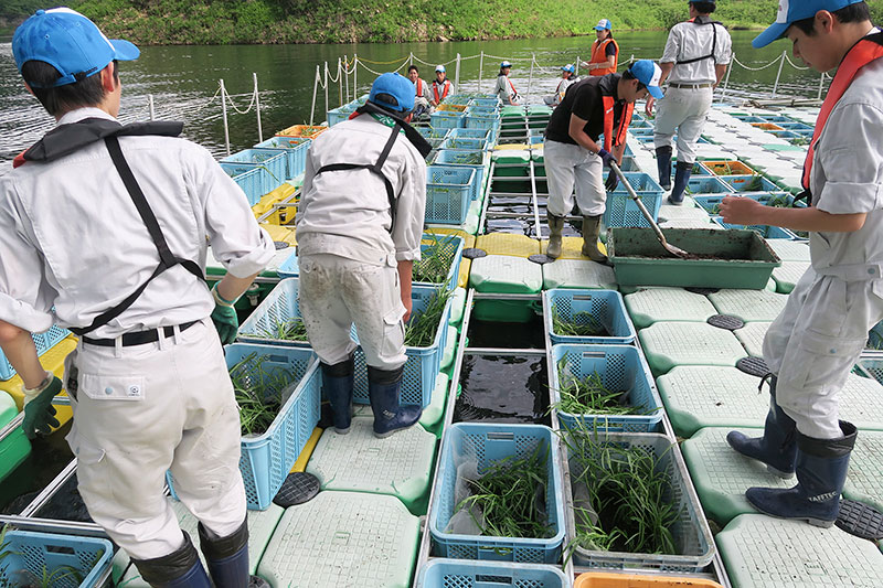 第5回グッドライフアワード 環境大臣賞 優秀賞 岐阜県立恵那農業高等学校