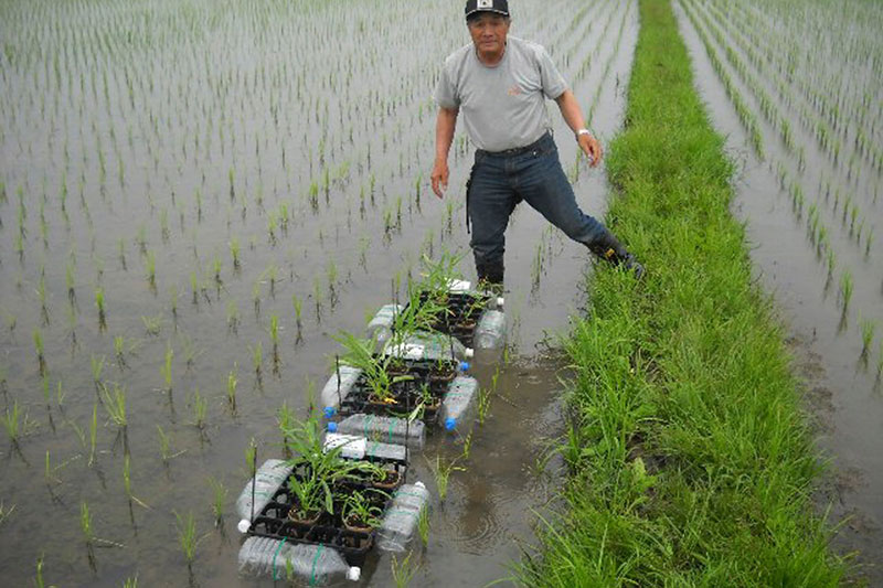 第5回グッドライフアワード 環境大臣賞 優秀賞 岐阜県立恵那農業高等学校