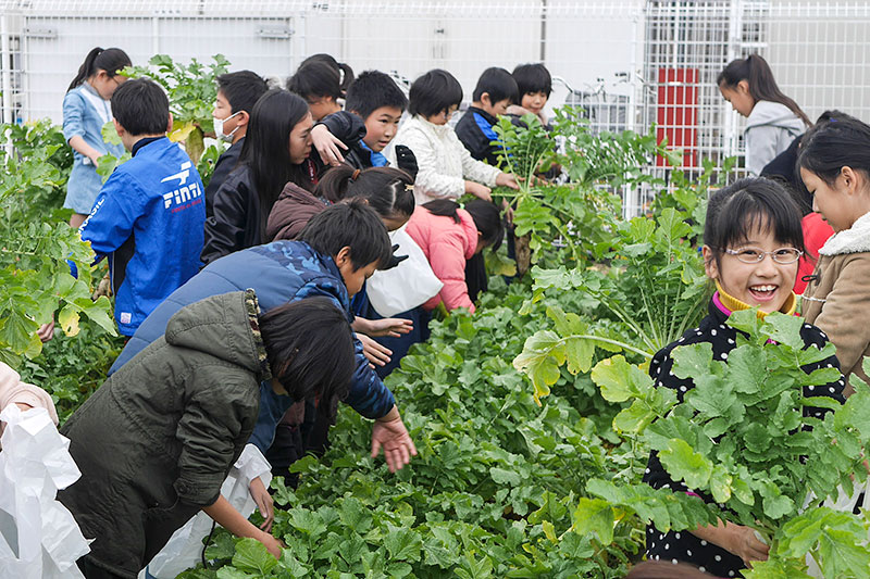 第5回グッドライフアワード 環境大臣賞 学校部門 八王子市立弐分方小学校