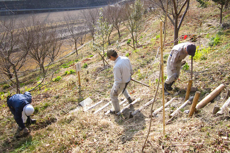 第5回グッドライフアワード 環境大臣賞 地域コミュニティ部門 ECOKA委員会（奈良県生駒市）