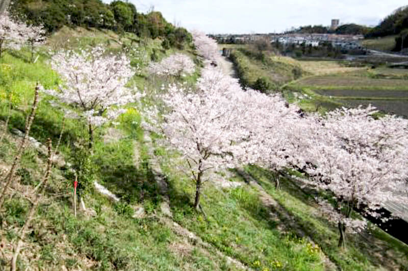 第5回グッドライフアワード 環境大臣賞 地域コミュニティ部門 ECOKA委員会（奈良県生駒市）