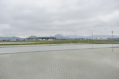 第4回グッドライフアワード 環境大臣賞 優秀賞 魚のゆりかご水田プロジェクト