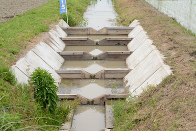 第4回グッドライフアワード 環境大臣賞 優秀賞 魚のゆりかご水田プロジェクト