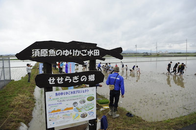 第4回グッドライフアワード 環境大臣賞 優秀賞 魚のゆりかご水田プロジェクト