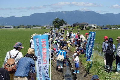 第4回グッドライフアワード 環境大臣賞 優秀賞 魚のゆりかご水田プロジェクト