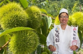 「銀寄栗の里山」を「宝の山」に