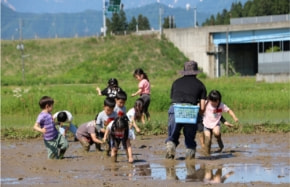 保育×農業で創った持続可能な循環型社会～保育園の給食米自給自足で南魚沼の農業技術と棚田を守る！～