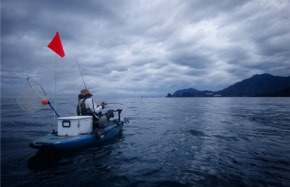 伊豆半島の【山と海を環る】グリーンビジネスの展開