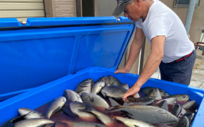 対馬の海の豊かさを取り戻したい!～みんなで取り組む食べる磯焼け対策～