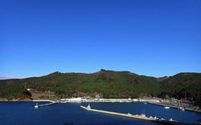 人命と海洋環境を守る循環型森林整備システムの構築