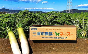 ふるさと納税を活用し、こどもの機会創出と地方創生を両立するフードバンク「こどもふるさと便」