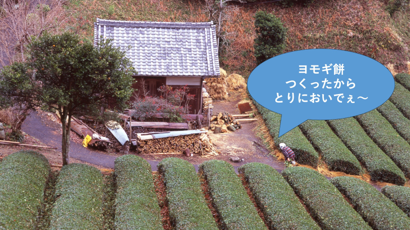 第12回グッドライフアワード 環境大臣賞