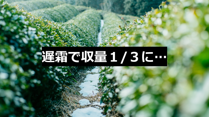 第12回グッドライフアワード 環境大臣賞