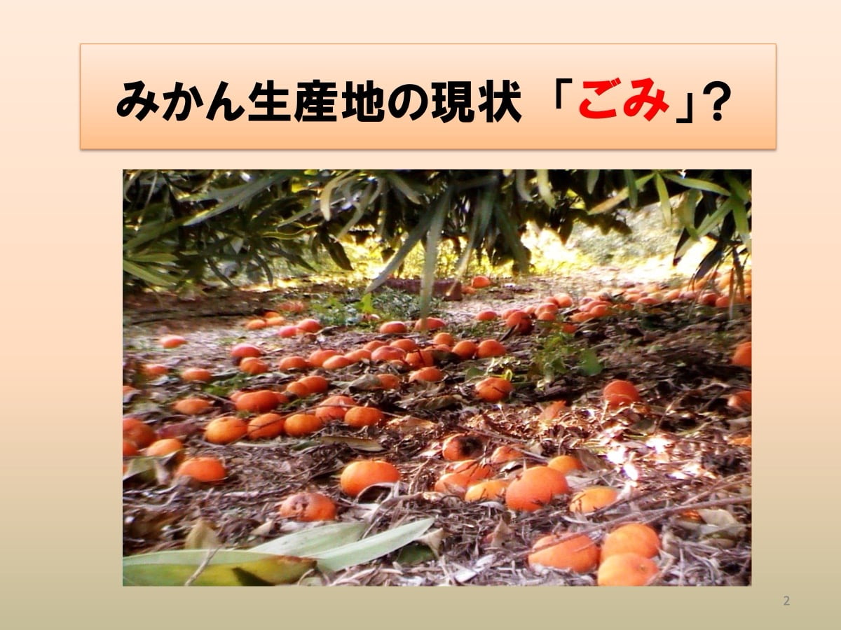 第13回グッドライフアワード 環境大臣賞