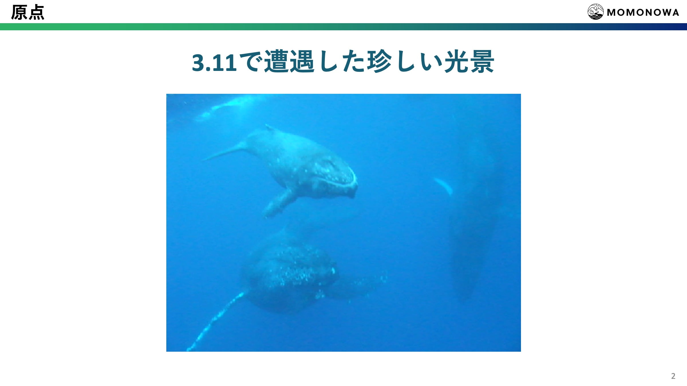 第13回グッドライフアワード 環境大臣賞