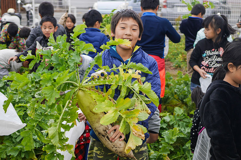 第5回グッドライフアワード 環境大臣賞 学校部門
                八王子市立弐分方小学校 つなげよう段ボールコンポストの輪