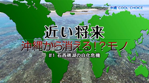 10月26日放送沖縄クールチョイスのイメージ画像です。