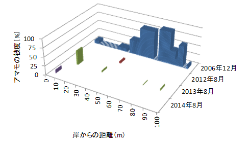 図5　万石浦 黒島西岸ライン調査（ライン長100m）におけるアマモの分布状況のグラフ