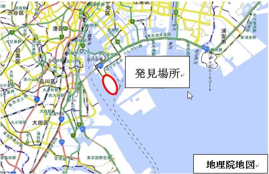 ヒアリの確認された東京港青海ふ頭
