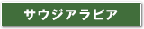 サウジアラビア