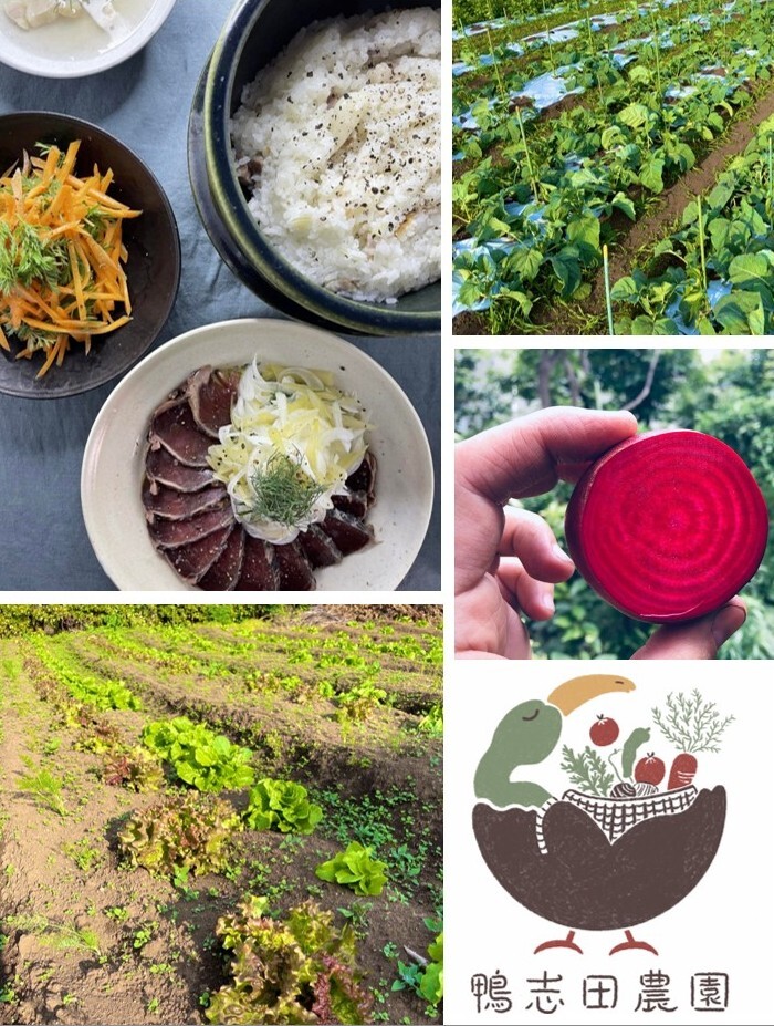 【食品ロス削減推進表彰 審査委員会特別賞】紹介イメージ