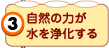 自然の力が水を浄化する