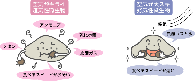 微生物の種類