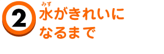 水がきれいになるまで