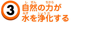 自然の力が水を浄化する