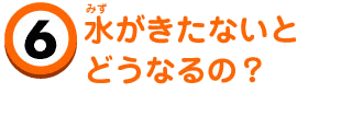 水がきたないとどうなるの？