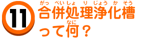 合併処理浄化槽って何？