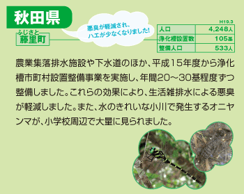 藤里町:農業集落排水施設や下水道のほか、平成15年度から浄化槽市町村設置整備事業を実施し、年間20～30基程度ずつ整備しました。これらの効果により、生活雑排水による悪臭が軽減しました。また、水のきれいな小川で発生するオニヤンマが、小学校周辺で大量に見られました。