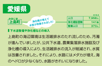 上島町:上島町の海辺環境は生活雑排水のたれ流しのため、汚濁が進んでいましたが、公共下水道、農業集落排水施設及び浄化槽の導入により、生活雑排水の流入が削減され、水質は改善されました。それにより、水路にはメダカが増え、海のヘドロが少なくなり、水路がきれいになりました。