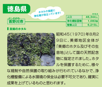 吉野川市:昭和45年(1970)年8月29日に、美郷地区全体が「美郷のホタル及びその生息地」として国の天然記念物に指定されました。ホタルを保護するために、様々な規制や自然保護の取り組みが行われているなかで、浄化槽整備による水環境の保全は必要不可欠であり、確実に成果を上げているものと思われます。