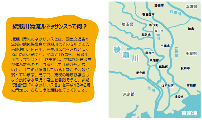 綾瀬川清流ルネッサンスって何？綾瀬川清流ルネッサンスとは、国土交通省や流域の地域協議会が綾瀬川とその支川である古綾瀬川、伝右川、毛長川などをきれいにするための活動です。平成7年度から「綾瀬川ルネッサンス21」を実施し、大幅な水質改善が進んだものの、依然として「魚が見えない」、「ゴミが浮遊している」などの問題が残っています。そこで、流域の地域協議会はより良好な水環境の再生を目指そうと、次期行動計画「ルネッサンス2」を平成15年2月に策定し、さらに浄化活動を行っています。