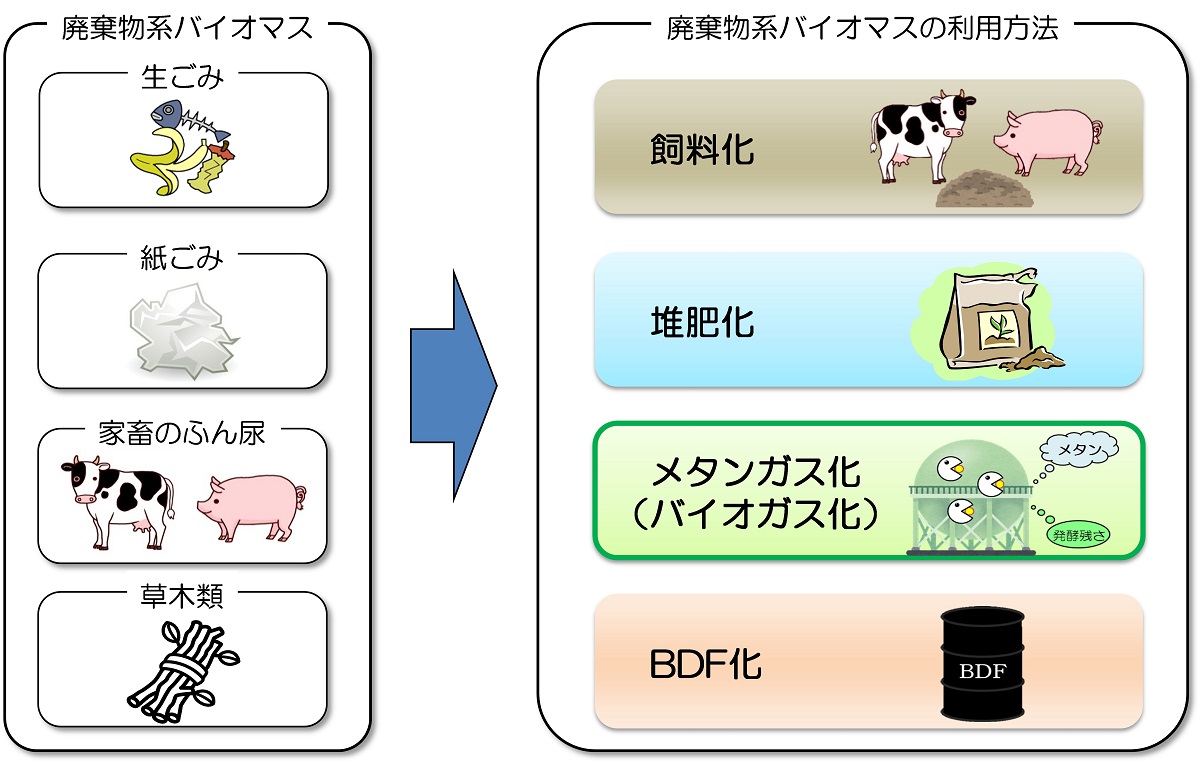 4種類の廃棄物系バイオマスの利用用途の種類（飼料化・堆肥化・メタンガス化・BDF化）