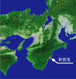 新鹿湾