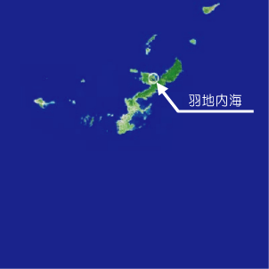 羽地内海