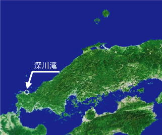 深川湾