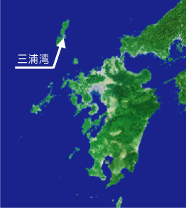 三浦湾