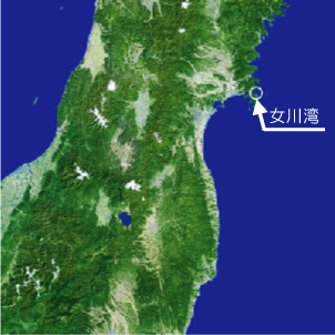 女川湾