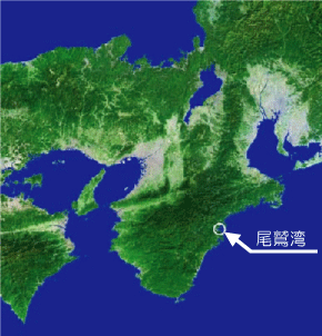 尾鷲湾