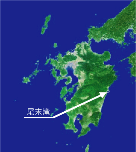 尾末湾