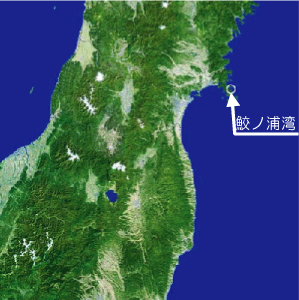 鮫ノ浦湾