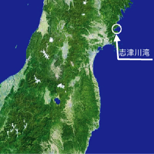 志津川湾